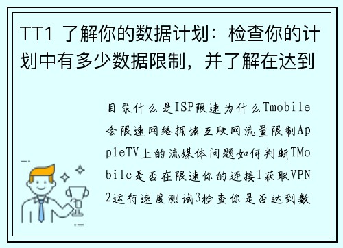 TT1 了解你的数据计划：检查你的计划中有多少数据限制，并了解在达到限制后会发生什